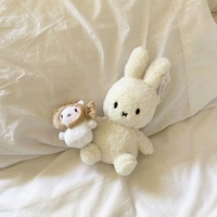 。。。。