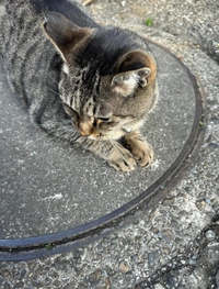 みたよ／シフト