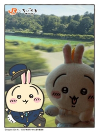 おはよう☀️