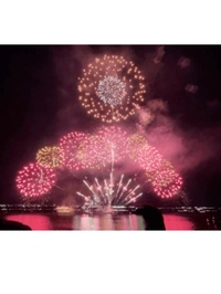 今年初の🎇