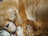 月曜日おつかれさま