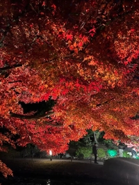 11月よろしくお願いいたします🍁🍂