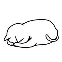 すみません🙇‍♀️