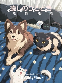 さぁいよいよ‼️