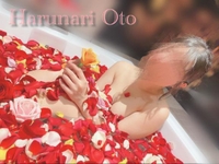 春成桜桃(はるなり おと)と申します🍒