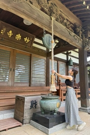 歩くにはちょうどよい☀️気温だね🫟