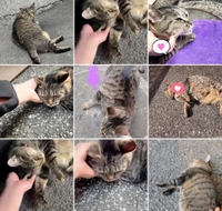 みたよ／シフト