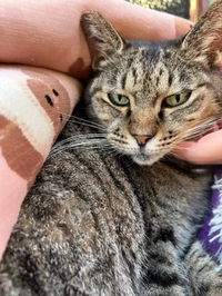 みたよ／シフト