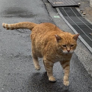 金曜日2回目🌕