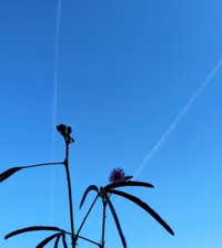 ほっこり朝のはずが😇🌙