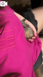 そこに納まっちゃうのー？︎💕︎︎💕︎😂