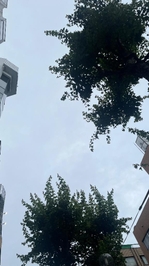 おはようございます‪🔆‬