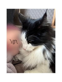 ( ⊙ω⊙ )ﾎﾞｸｵｷﾀ