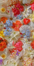 涼しくなってきた？