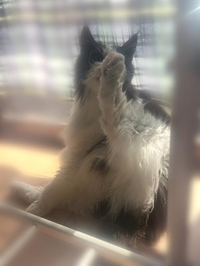 重大任務完了にゃ🐱💕