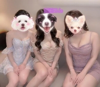 ㊙️コース👸🤴👸
