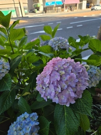 関係ないけどさ