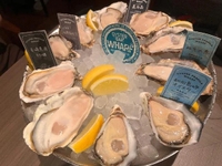 トザンスキさん