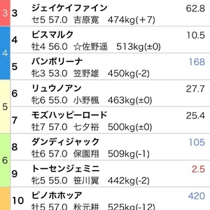 🐴 最終レースやったら帰るね 🐴