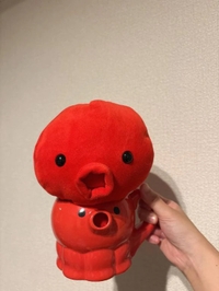 向かうタコ🐙