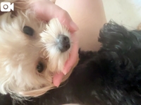 行くなってことデスか？？😆😆