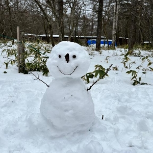 [お題]from:ボードさん