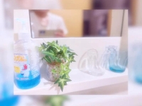 【朝活〜♬.*ﾟ】