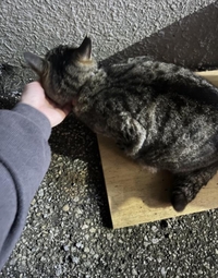 みたよ／シフト