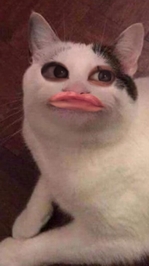 さんきゅーべりーまっち☺️🩷