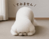 ご予約くださってた本指名のSさんへ