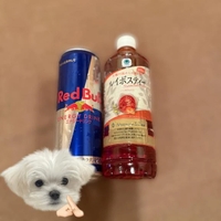 🤍9/12本指名S様🤍