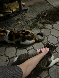 26日9-17時出勤♡♡