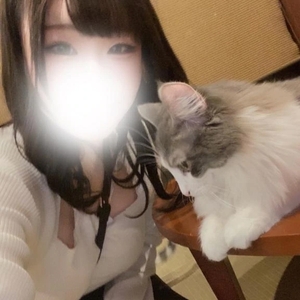 実現させたい🐱