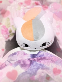 にゃんこお迎え致しました😆🌟