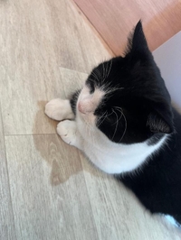 明日9-17時出勤します♡