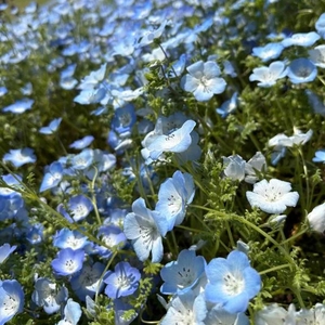 ありがとうございました‎🤍