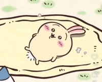 いい肉の日❤︎