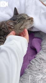 みたよ／シフト