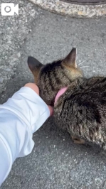 みたよ／シフト