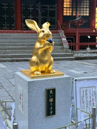 こんにちは❕