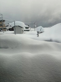 ごめんなさい🙏💦