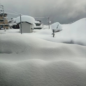 ごめんなさい🙏💦