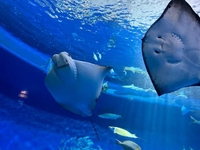 もし1週間なにも気にせず休めるなら、どう過ごす？