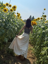 ✨️座間ひまわり🌻畑✨️