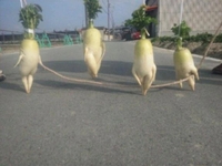 😭❤️‍🩹❤️‍🩹