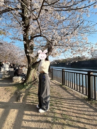 最近の休日🌸