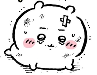 ごめんなさい😭