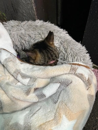 みたよ／シフト