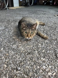 お盆期間のシフト