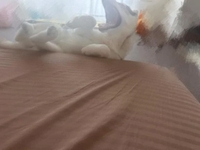 🎀明日からまたいます🥺🫧優しく喝ください🤣💗🎀